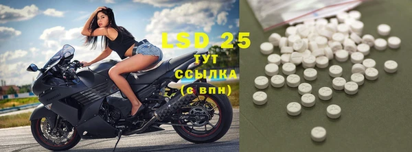 PSILOCYBIN Алзамай