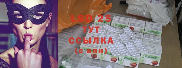 PSILOCYBIN Алзамай