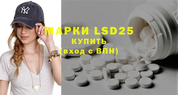 PSILOCYBIN Алзамай