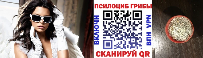 Галлюциногенные грибы Magic Shrooms  кракен сайт  Циолковский 