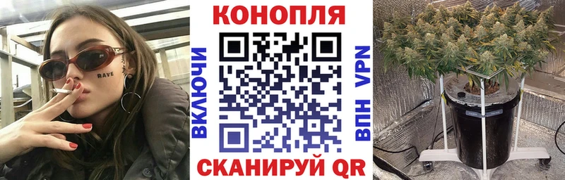 купить наркотики цена Циолковский Конопля White Widow